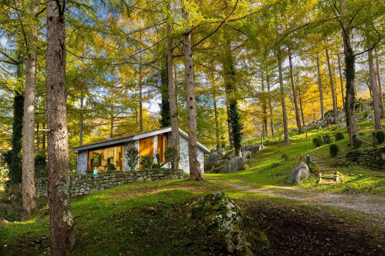 Cabañas Deluxe Basajaun Basoa by IrriSarri Land Igantzi Exterior foto