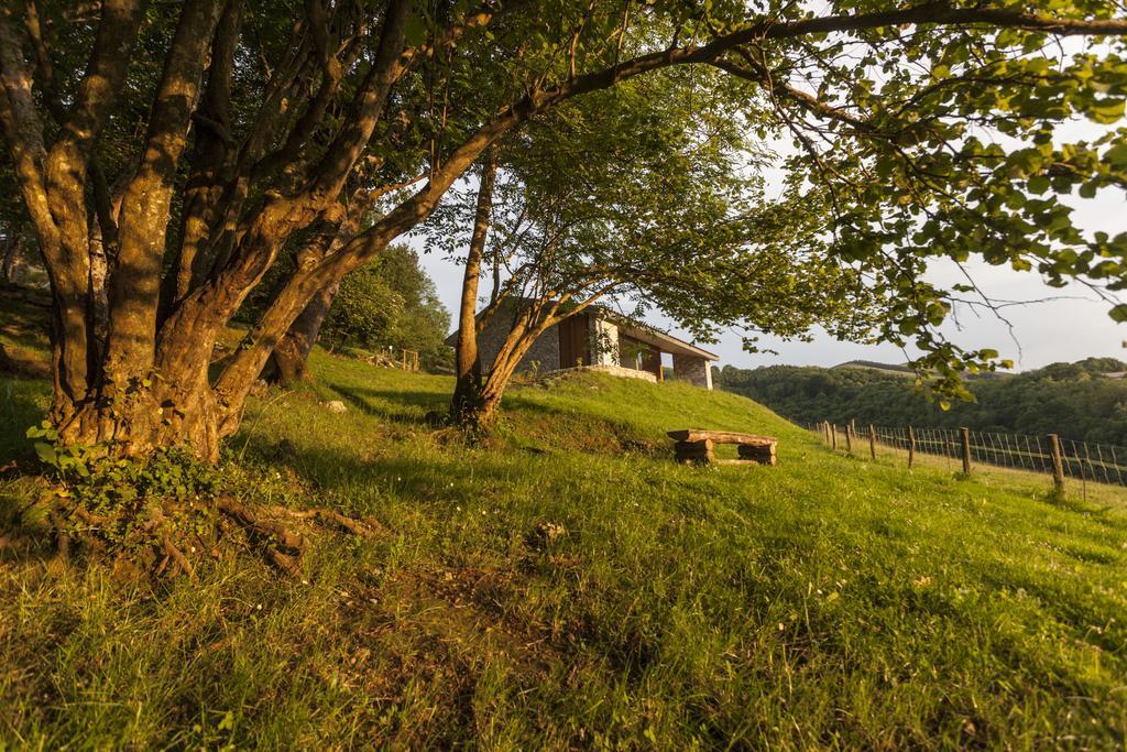 Cabañas Deluxe Basajaun Basoa by IrriSarri Land Igantzi Habitación foto